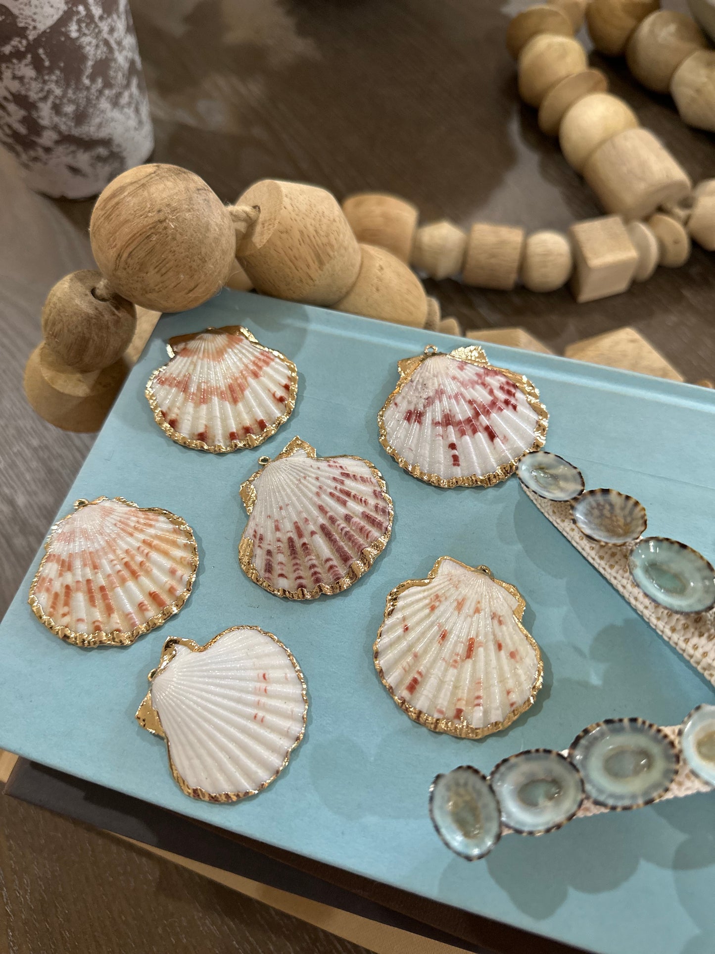 Natural Shell Charm