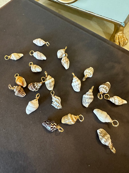Mini Shell Charm
